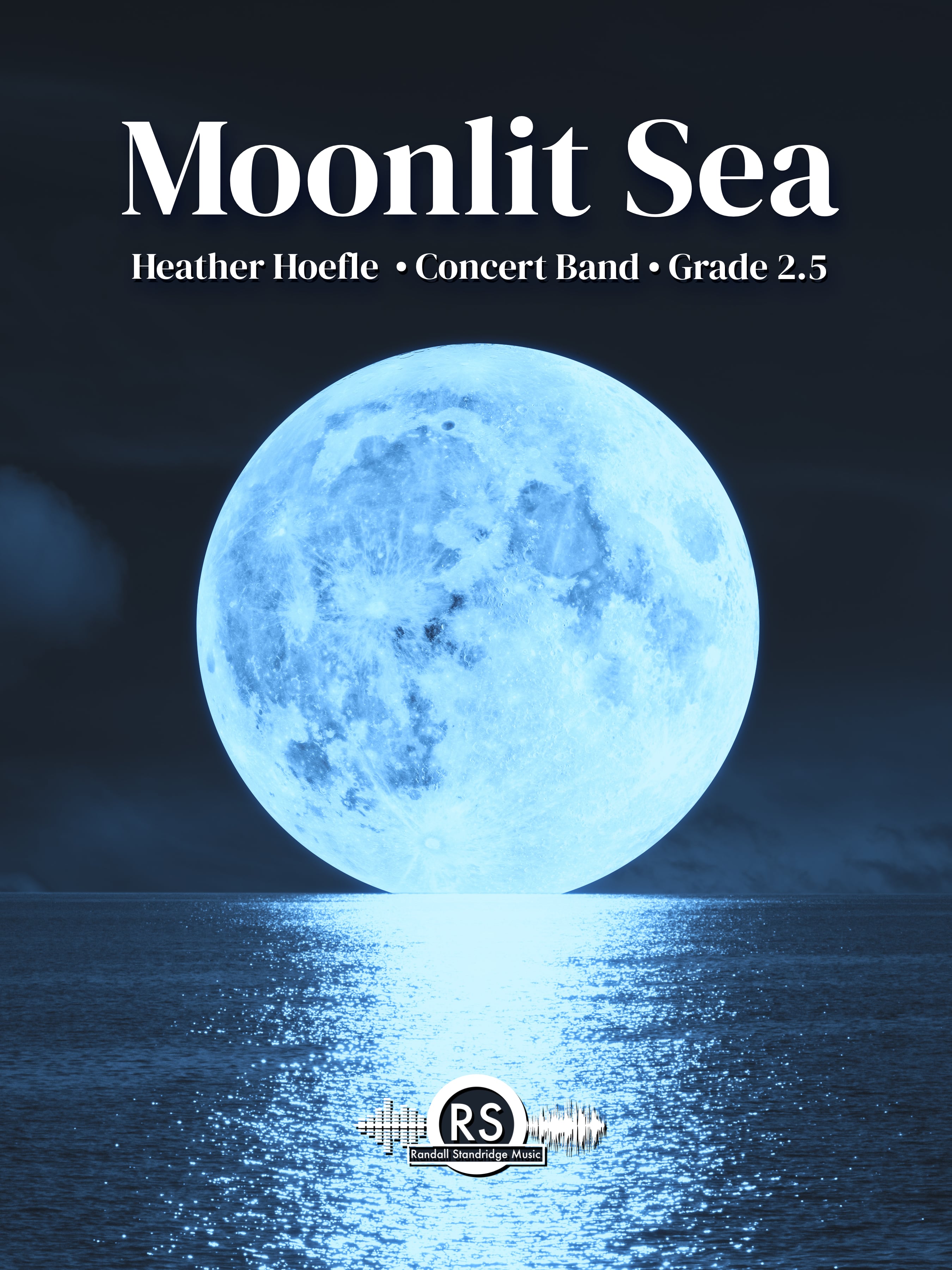 Moonlit Sea